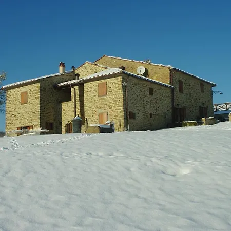 D'ambiano *
