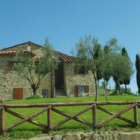 D'ambiano Arezzo