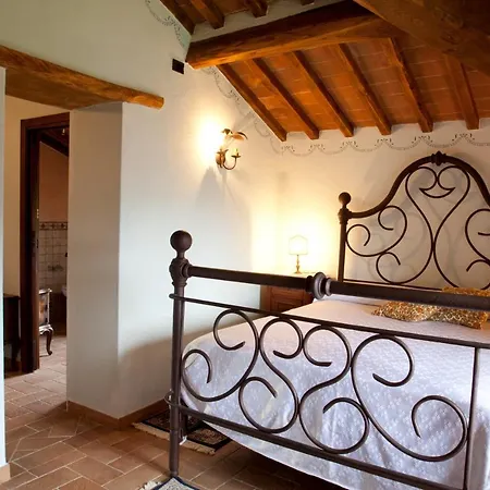 D'ambiano Arezzo