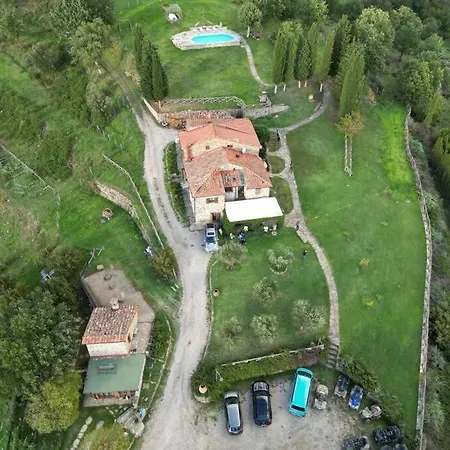 D'ambiano * Arezzo