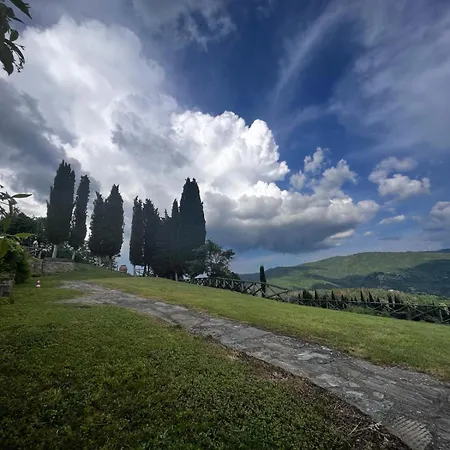 D'ambiano Arezzo