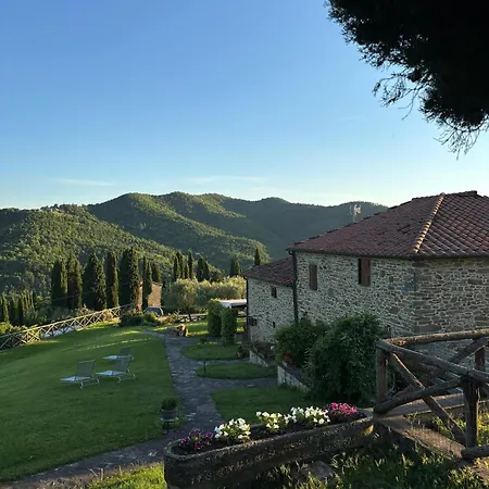 D'ambiano Arezzo